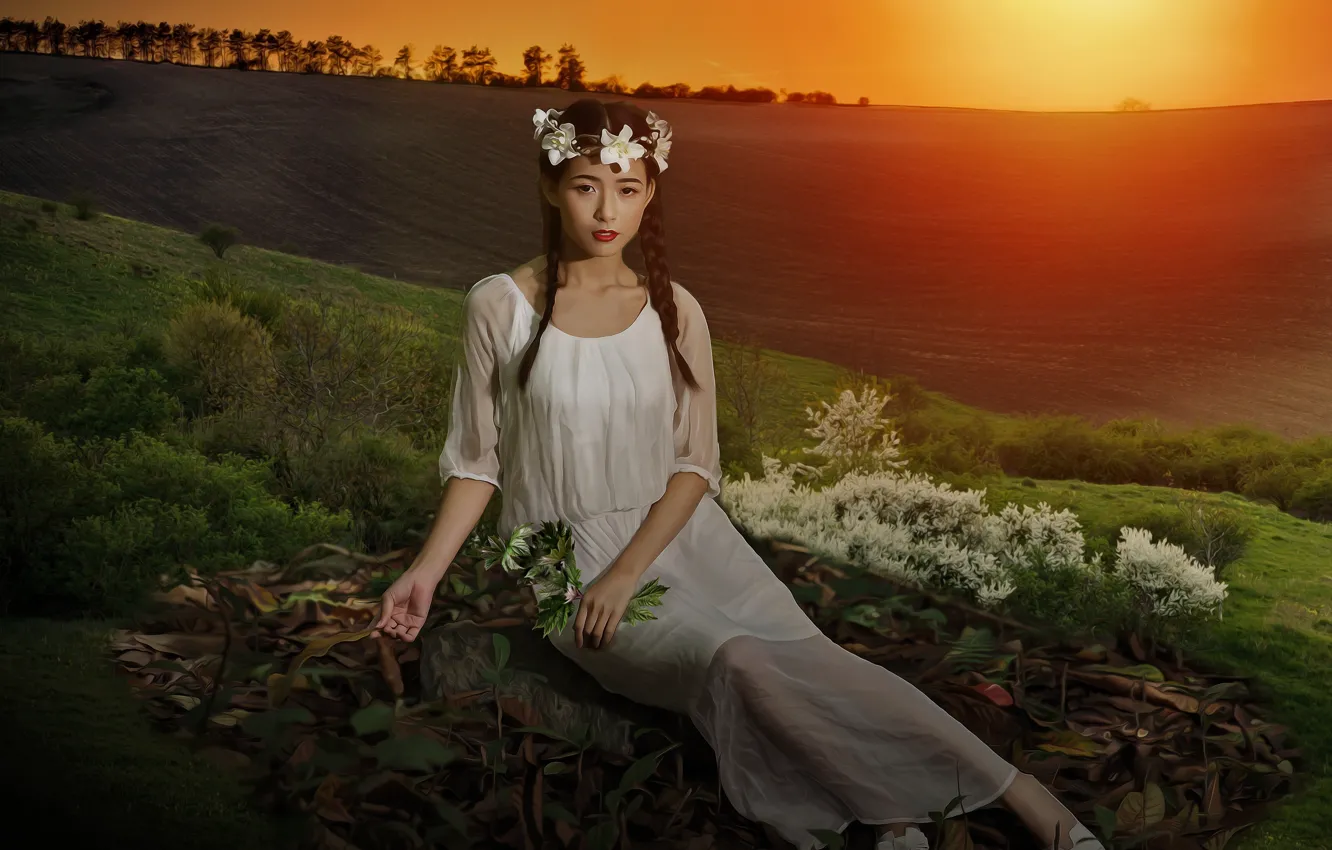 Photo wallpaper field, look, girl, light, sunset, flowers, nature, pose
