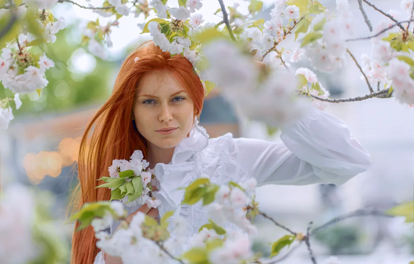 Photo wallpaper look, girl, branches, cherry, pose, portrait, spring, hands