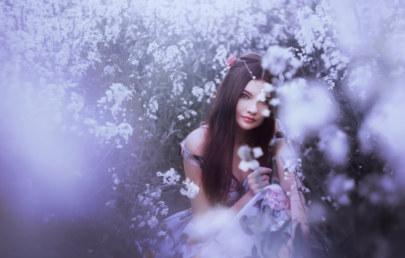 Photo wallpaper field, girl, flowers, long hair, lilac background