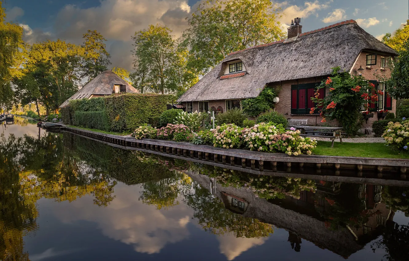 Photo wallpaper summer, the sky, clouds, trees, landscape, flowers, branches, nature