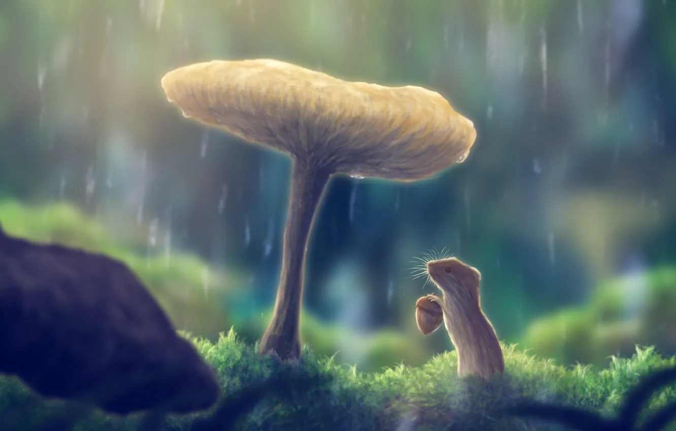 Photo wallpaper nature, rain, mushrooms, acorn, vole