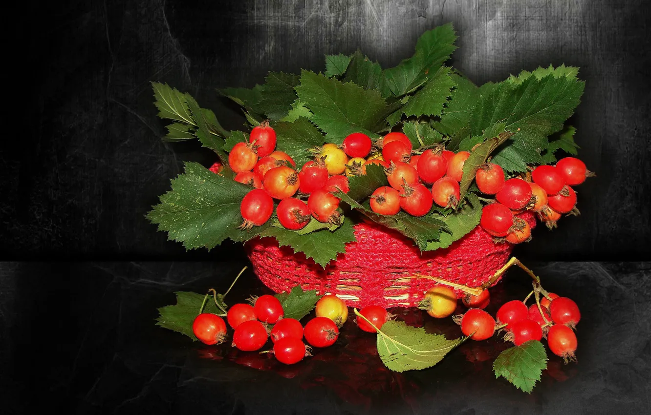 Photo wallpaper nature, mood, beauty, beautiful, basket, beautiful, beauty, harmony