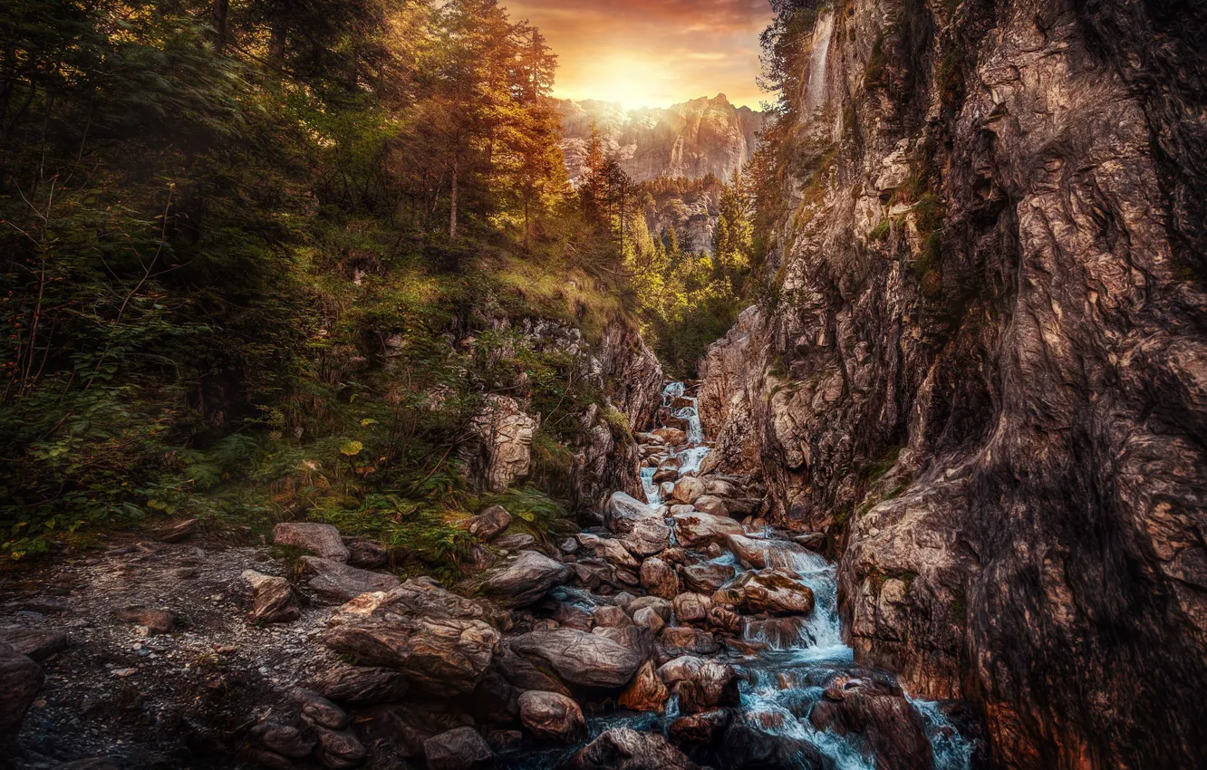 Photo wallpaper stream, stones, rocks, treatment, Shadow half