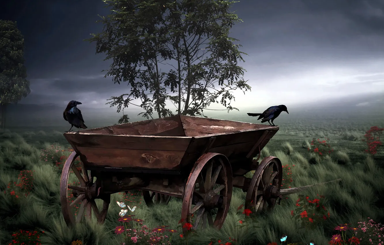 Photo wallpaper style, crows, cart