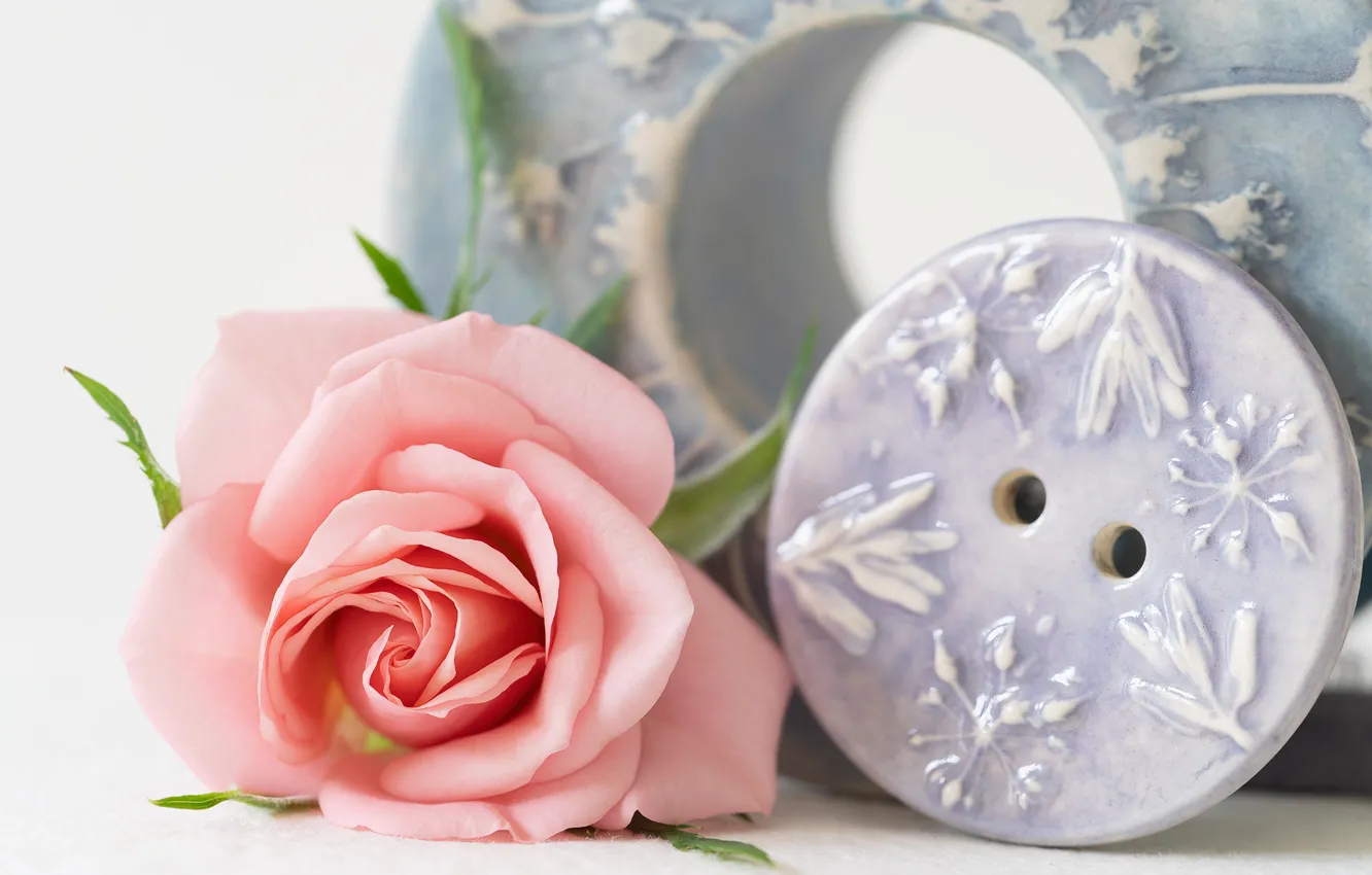 Photo wallpaper macro, flowers, style, roses, buttons, pink, buds, ceramics