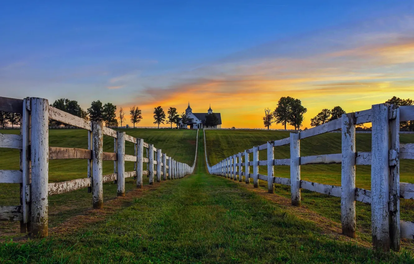 Photo wallpaper field, house, the fence, morning