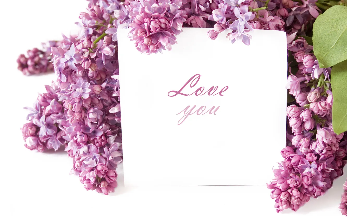 Photo wallpaper flowers, lilac, petals