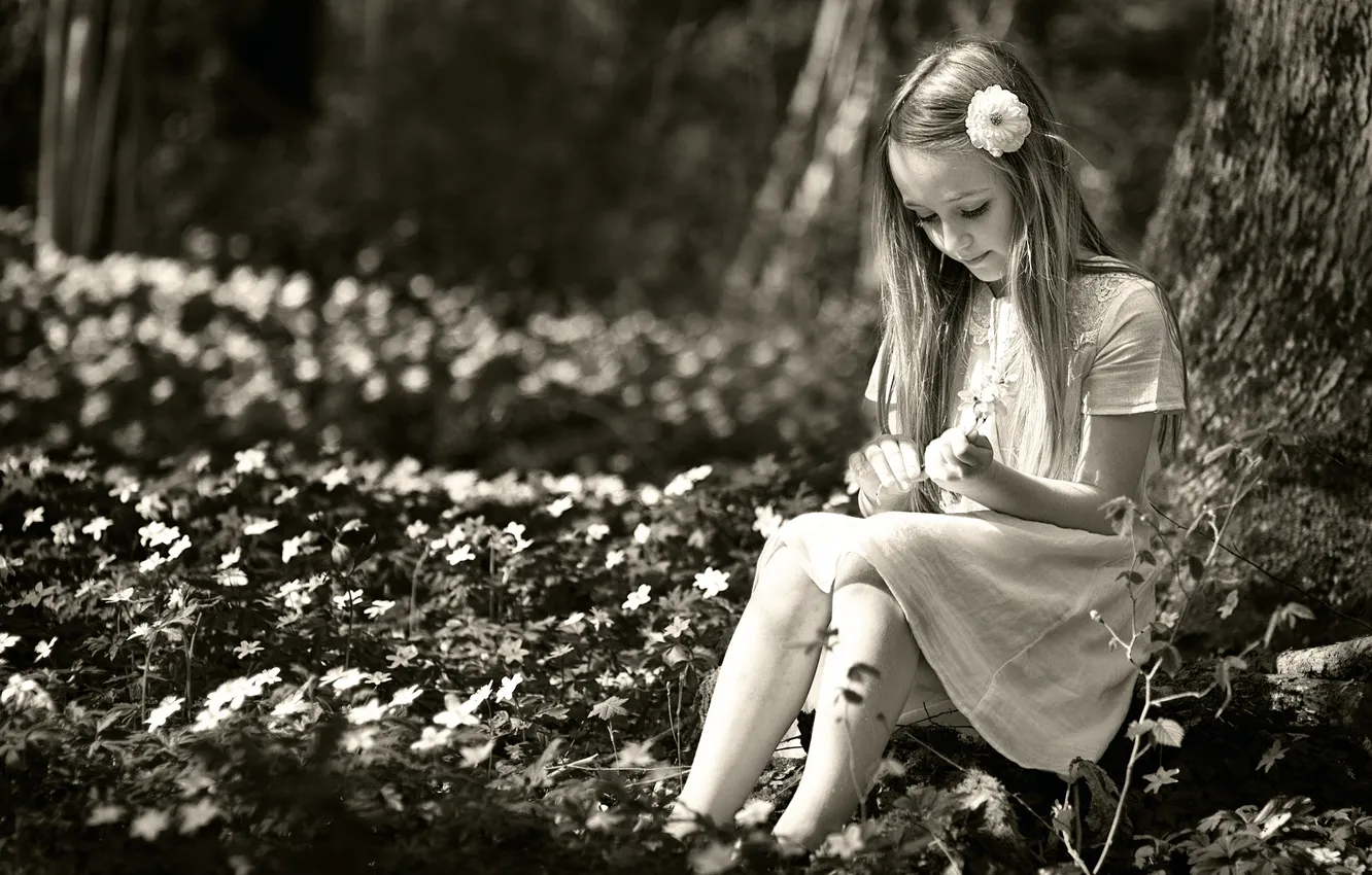 Photo wallpaper summer, girl, flowers