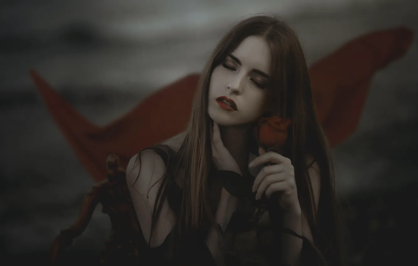 Photo wallpaper girl, flowers, red, pose, style, the dark background, Gothic, portrait