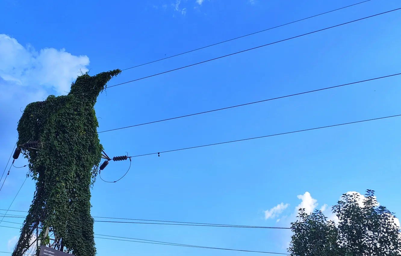 Photo wallpaper green, nature, funny, Godzilla, situation, SUHART