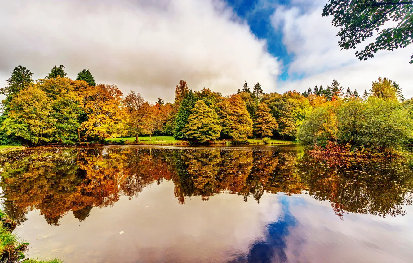 Photo wallpaper autumn, trees, reflection, river, garden, Ireland, Botanic Gardens Dublin