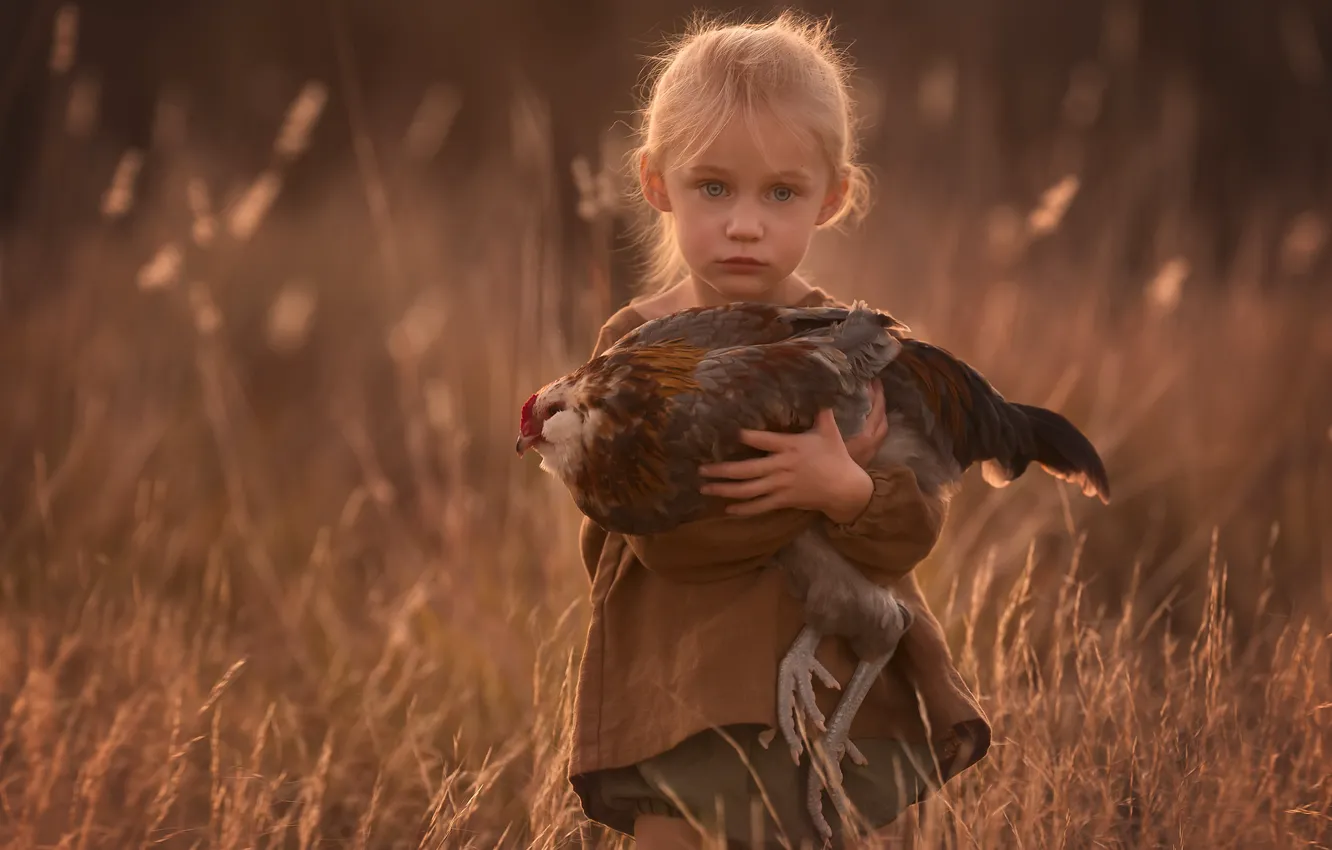 Photo wallpaper field, glade, chicken, girl, Lisa Holloway