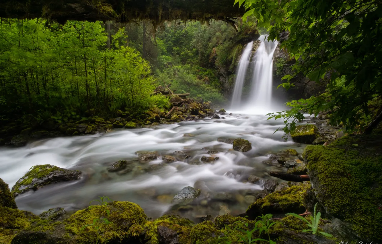 Photo wallpaper forest, river, waterfall, Washington, Washington State, North Cascades National Park, National Park North Cascade
