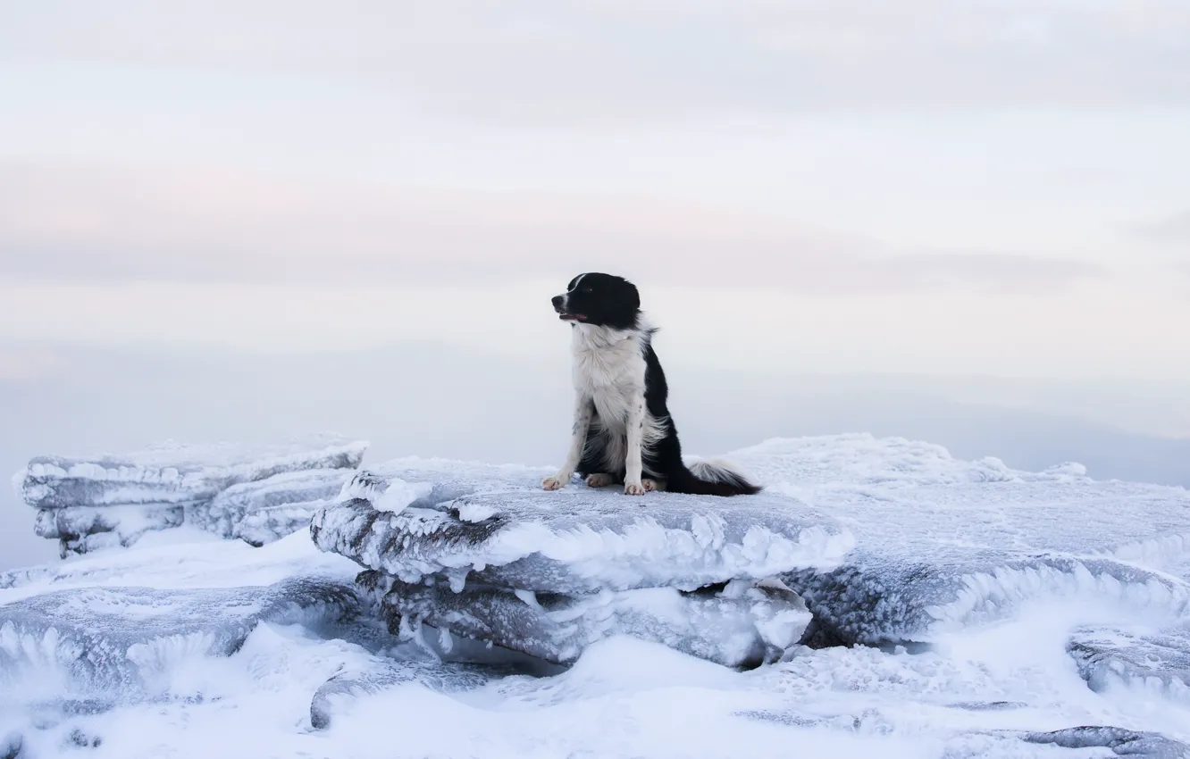 Photo wallpaper ice, winter, the sky, clouds, snow, nature, pose, loneliness