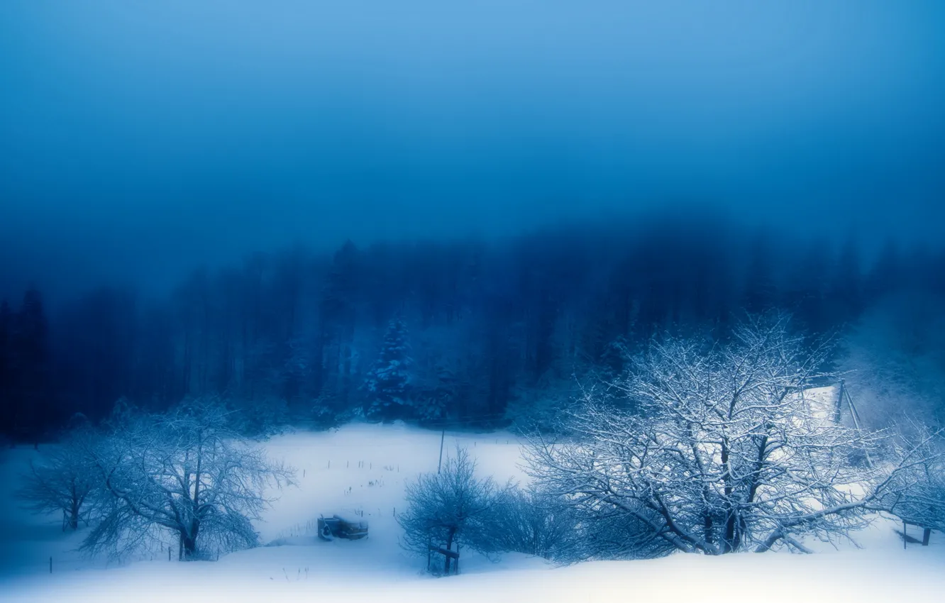 Photo wallpaper winter, snow, nature, fog, the evening