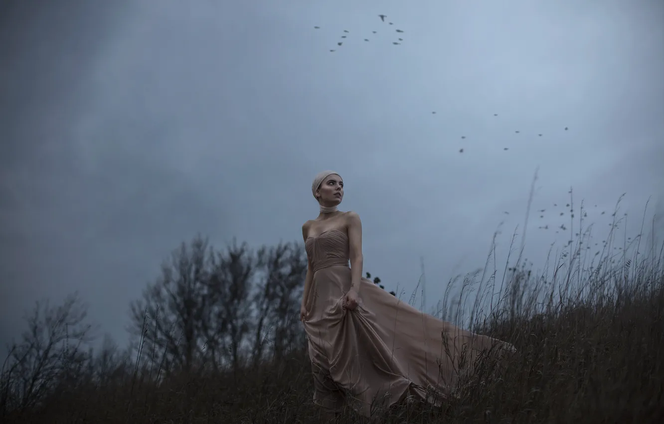 Photo wallpaper girl, birds, the wind, dress, Aleah Michele, The side of a dying hill