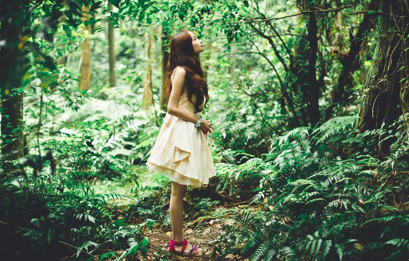 Photo wallpaper forest, girl, Asian