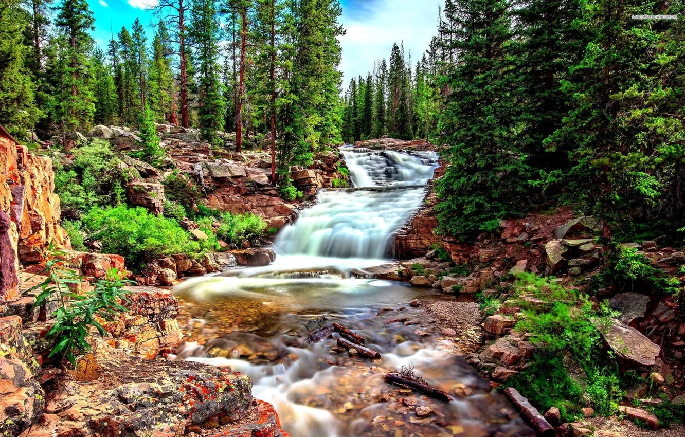 Photo wallpaper rock, forest, river, tree, waterfall