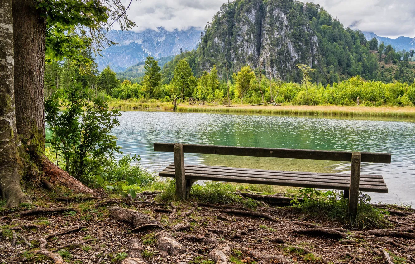 Photo wallpaper greens, forest, clouds, trees, mountains, bench, rocks, shore