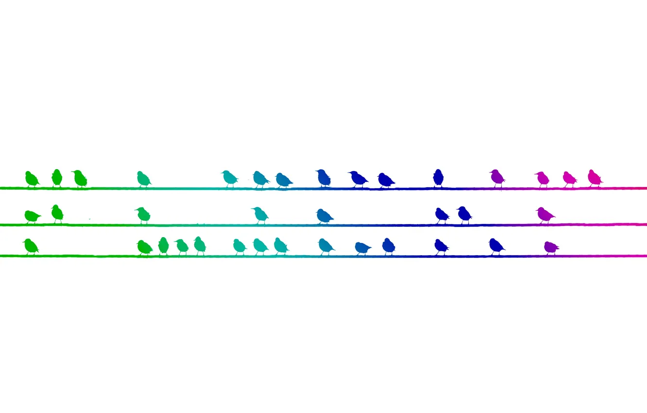 Photo wallpaper background, bird, color