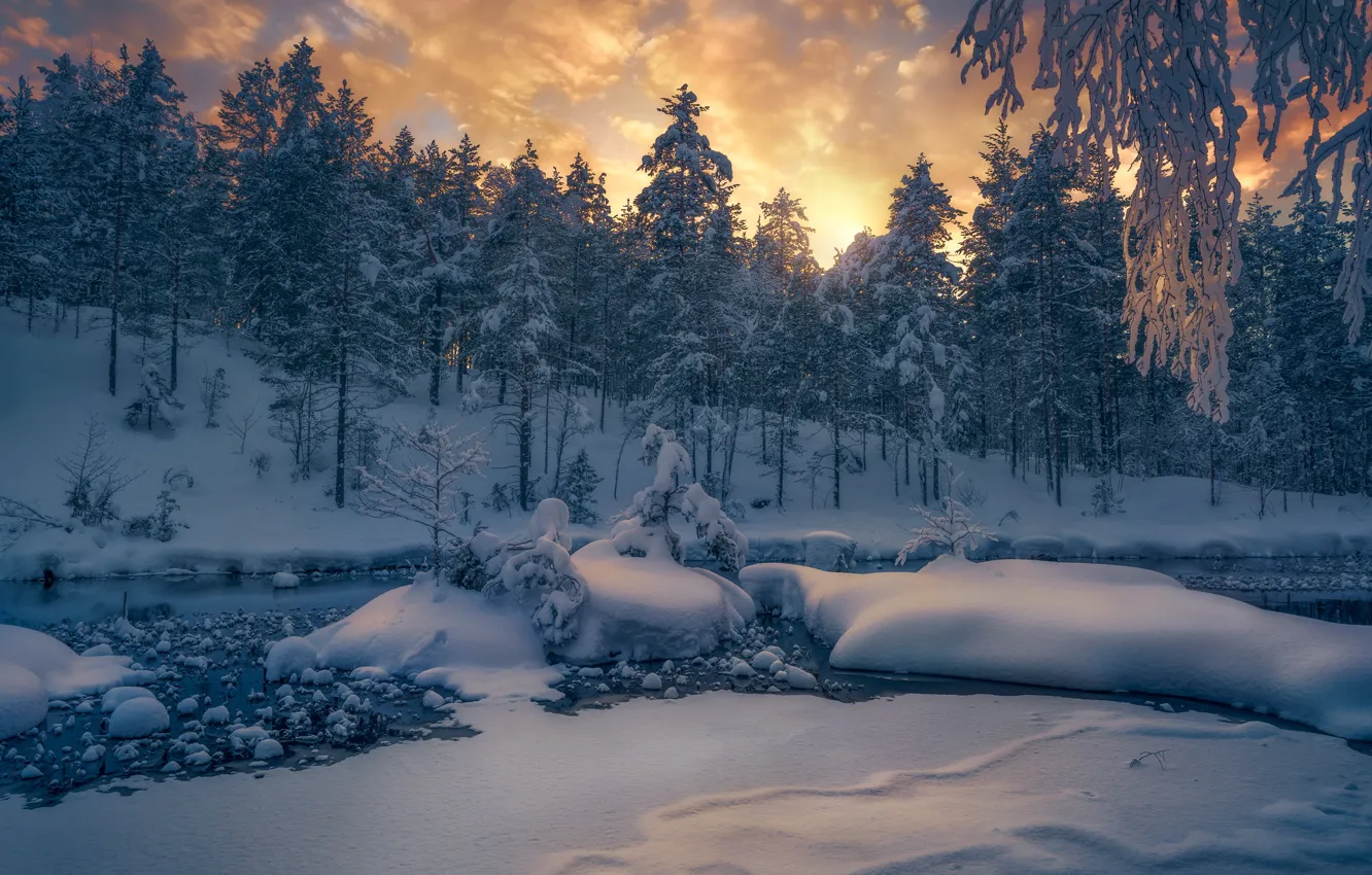 Photo wallpaper winter, forest, snow, trees, river, Norway, the snow, Norway