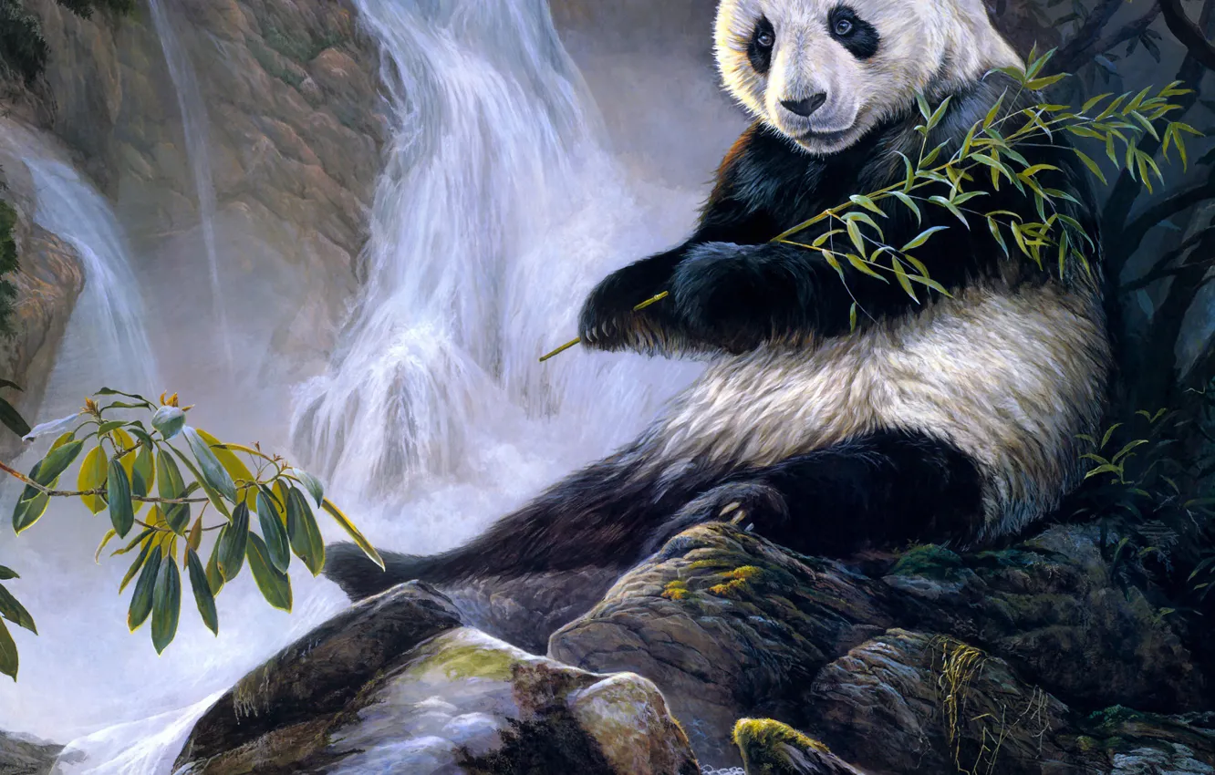 Photo wallpaper bear, picture, art, waterfall, painting, Panda, branches, leaves
