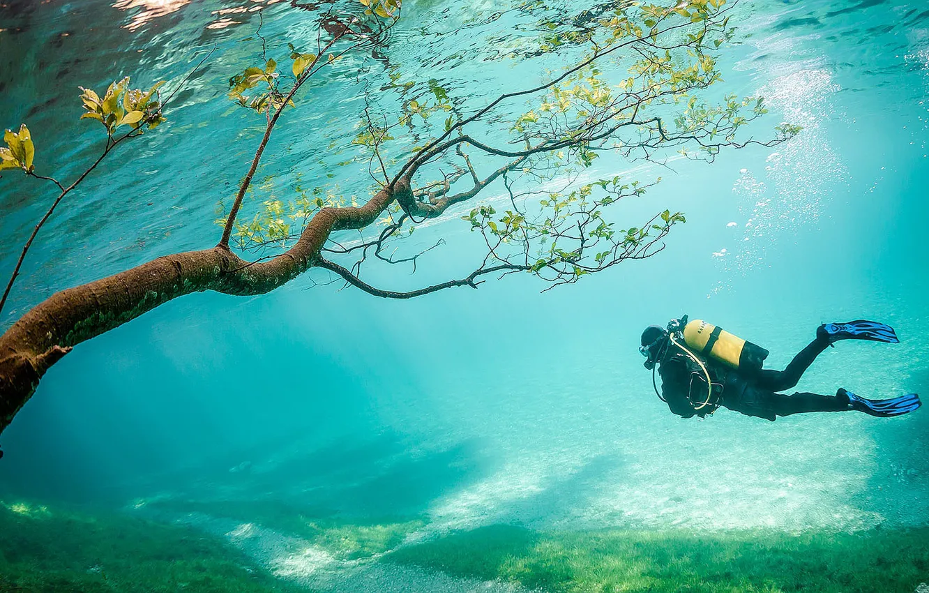 Photo wallpaper underwater, sea, diver