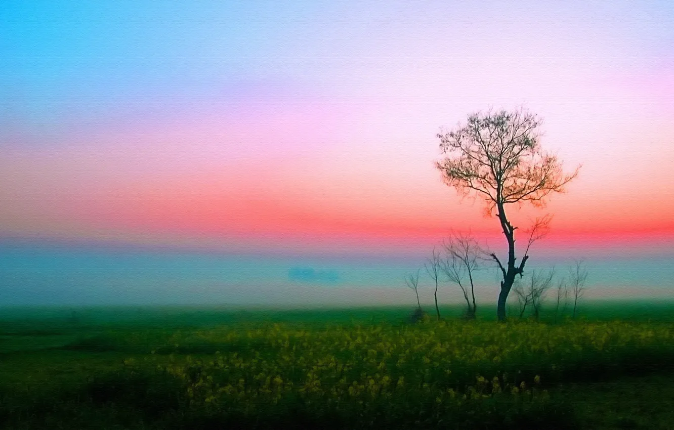 Photo wallpaper field, tree, morning
