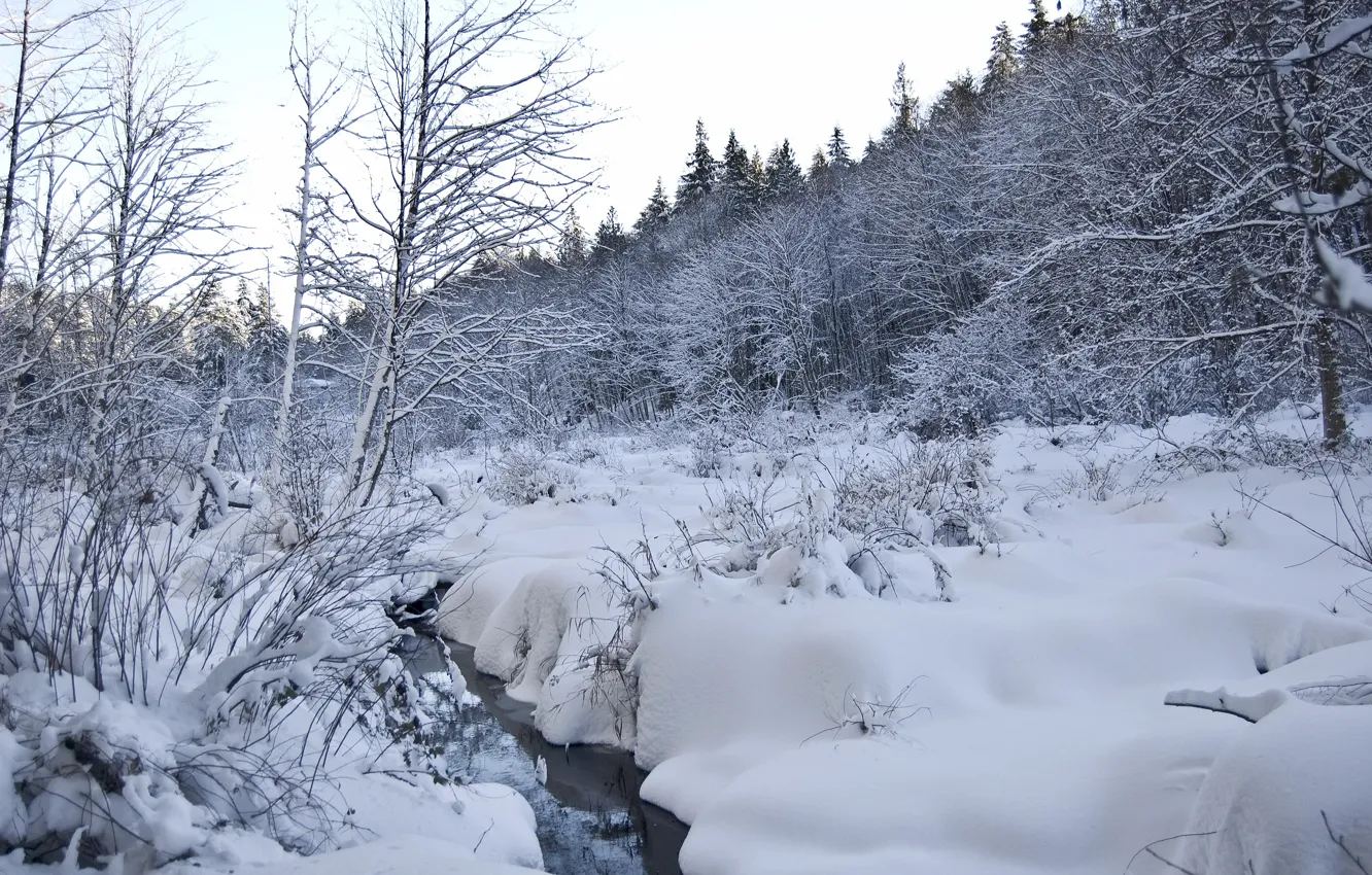 Photo wallpaper winter, snow, frost, the snow, winter, snow, frost