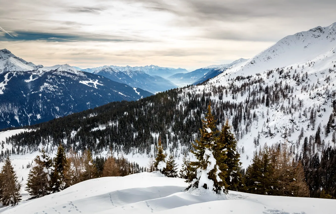 Photo wallpaper winter, snow, trees, mountains, tree, slope, Alps, Italy