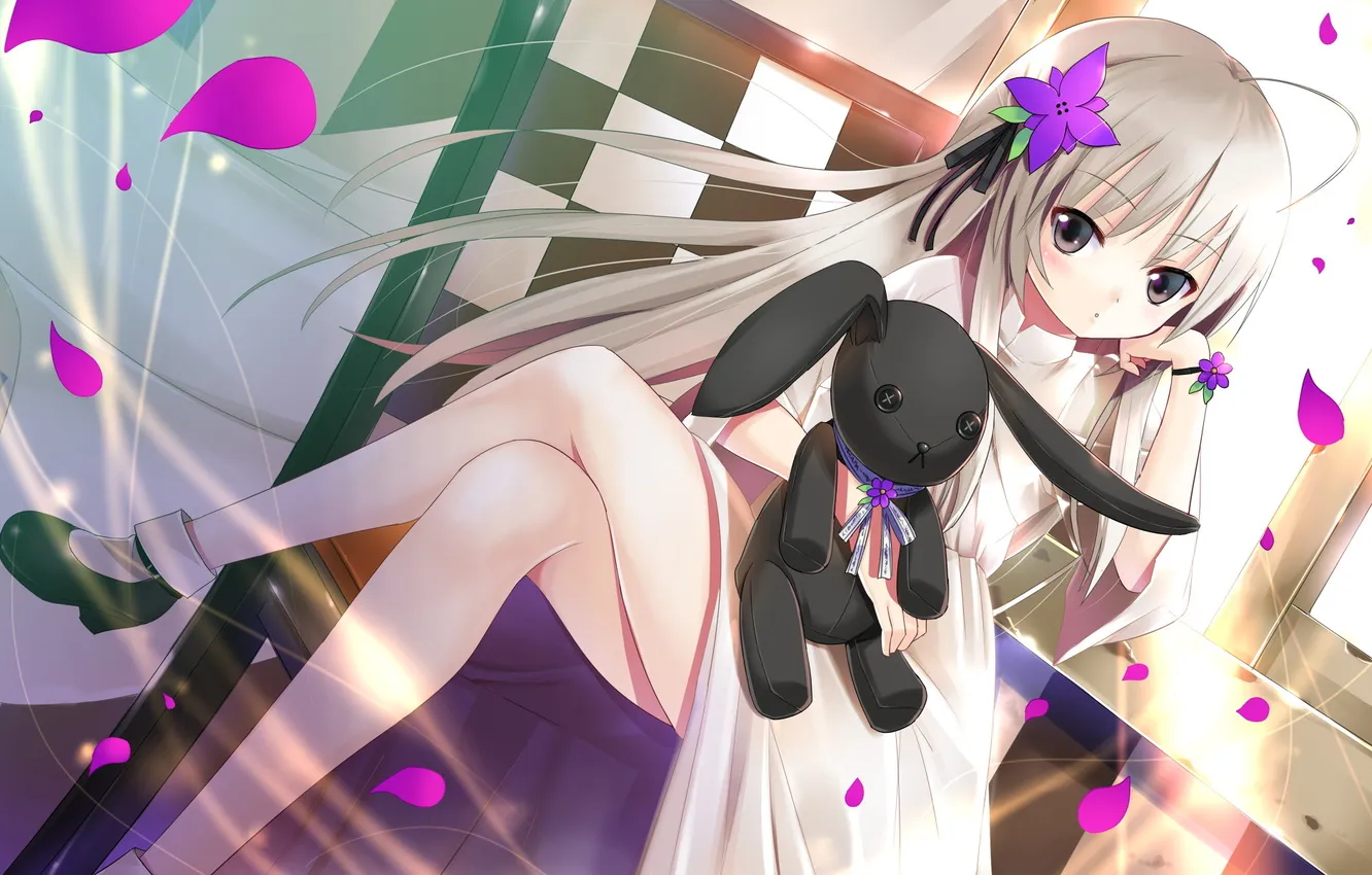 Photo wallpaper girl, petals, long hair, kasugano sora, yosuga no sora, black rabbit