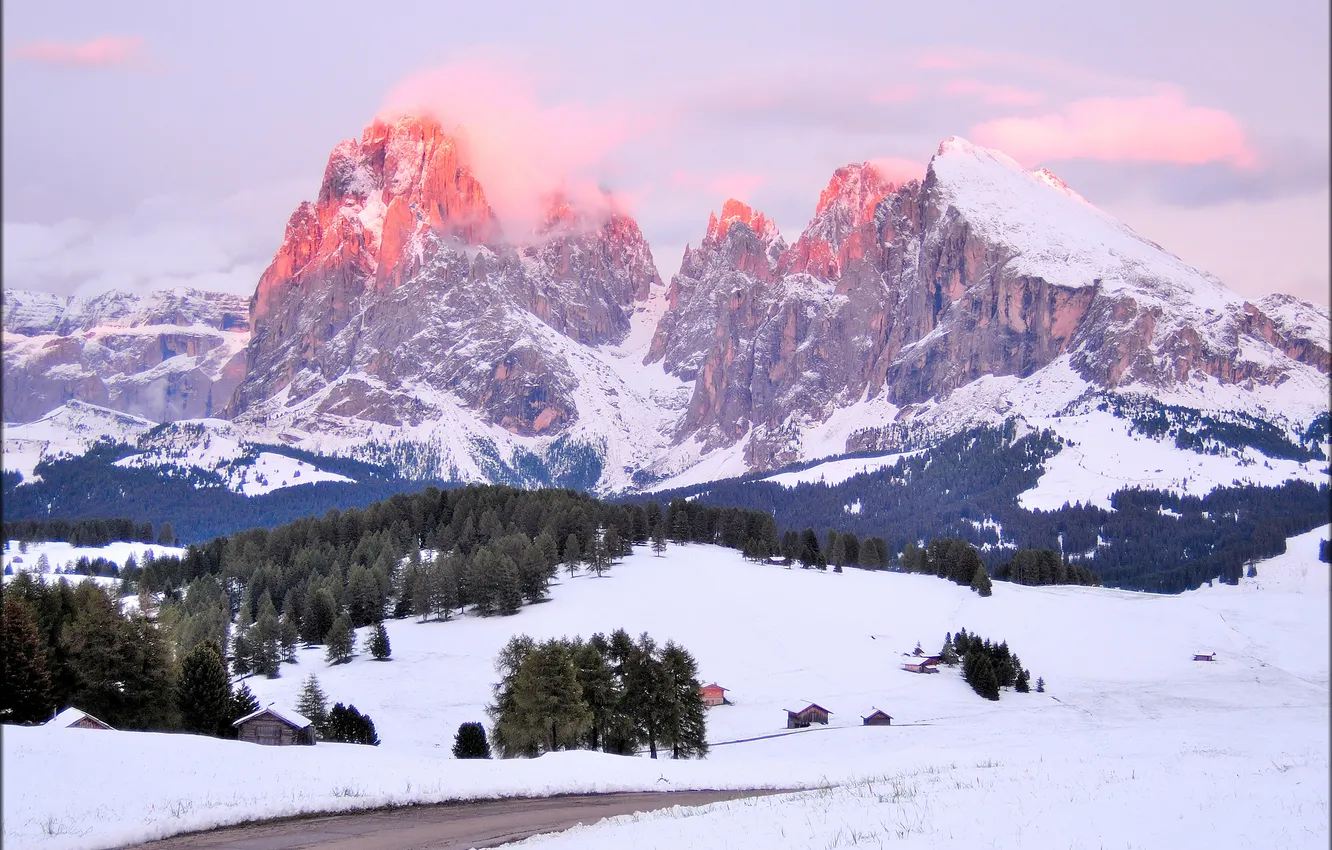 Photo wallpaper forest, snow, mountains, home