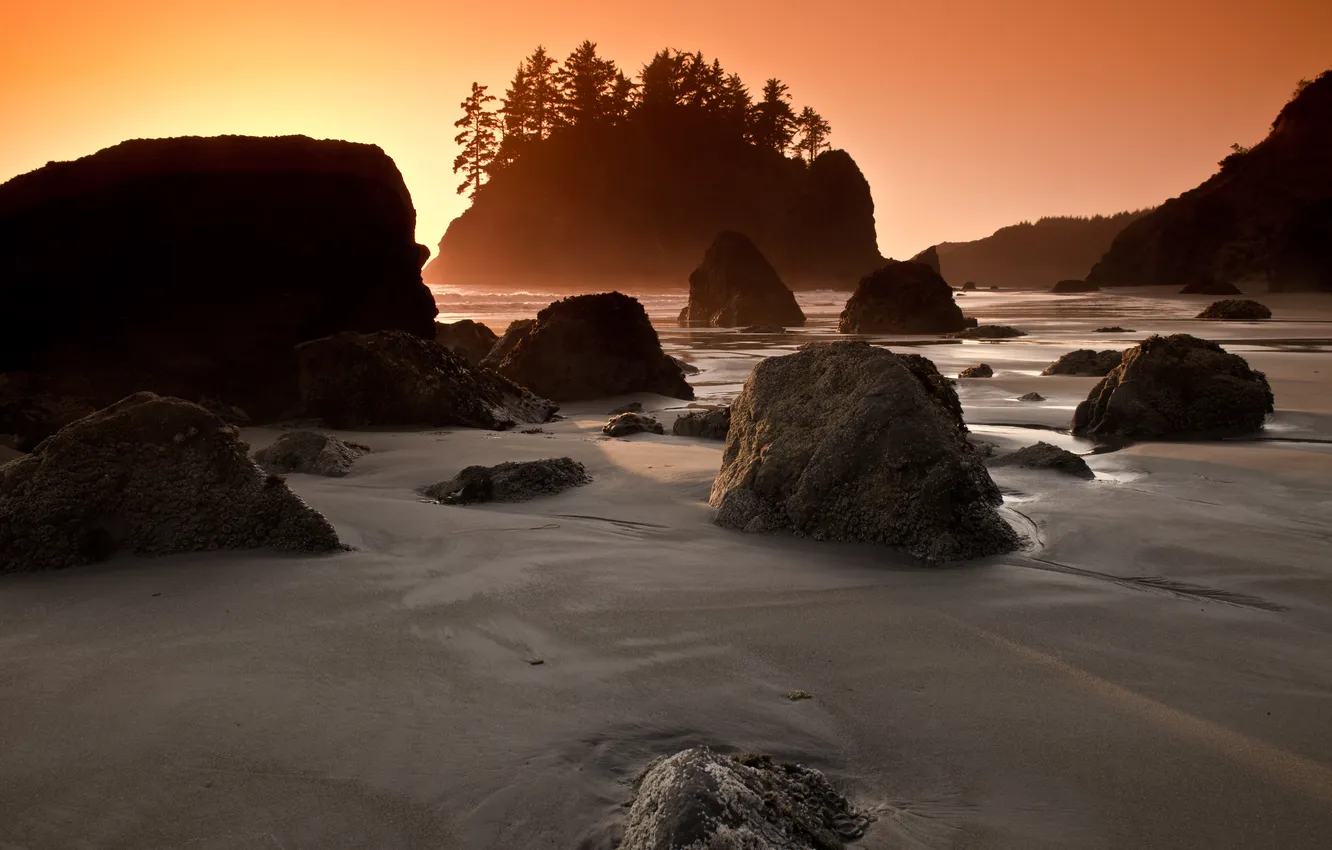 Photo wallpaper beach, trees, stones, rocks, island, morning, california, Beach