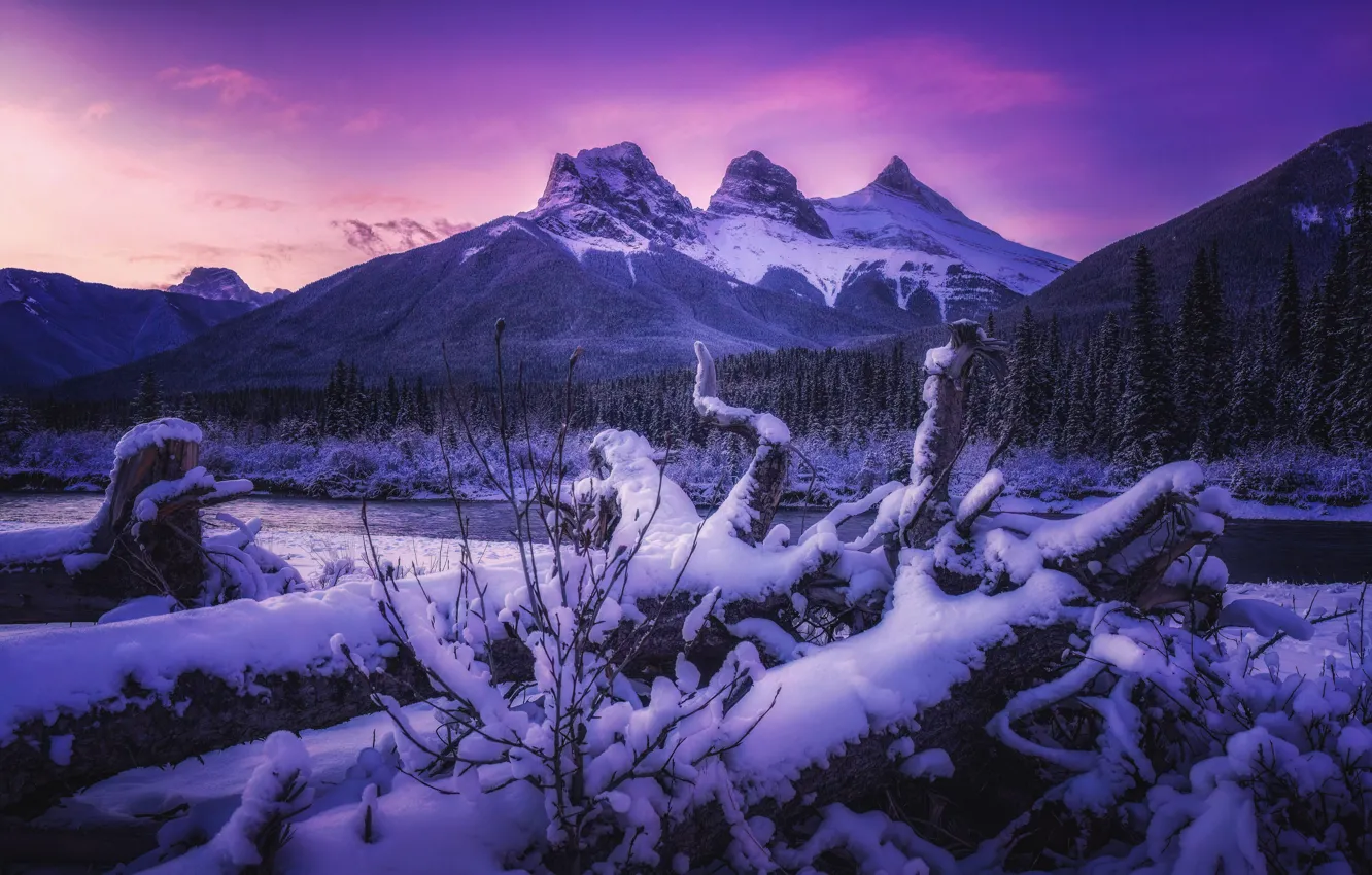 Photo wallpaper winter, forest, snow, trees, sunset, mountains, river, Canada