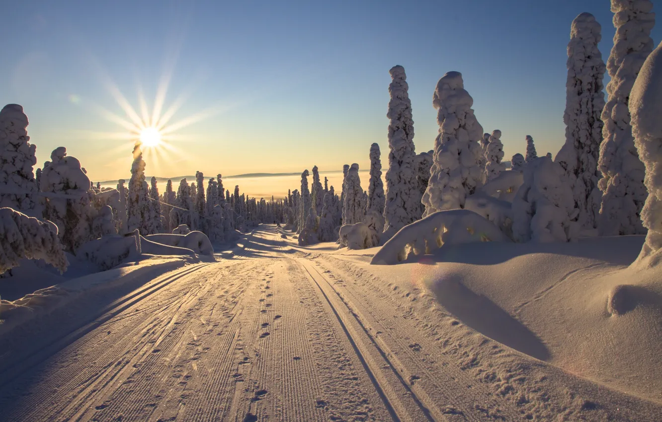 Photo wallpaper winter, road, the sun, rays, snow, trees, landscape, nature