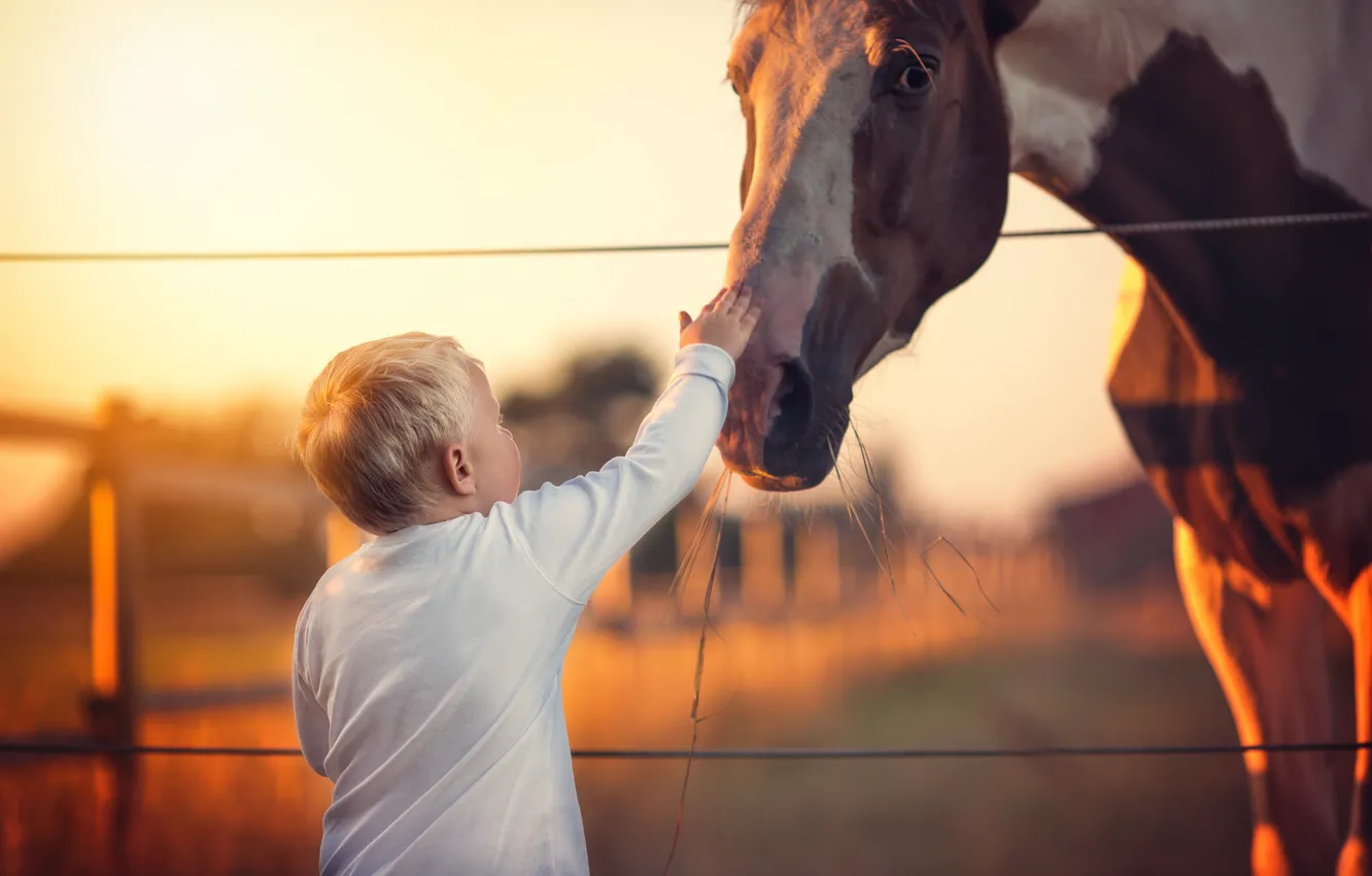 Photo wallpaper mood, horse, boy
