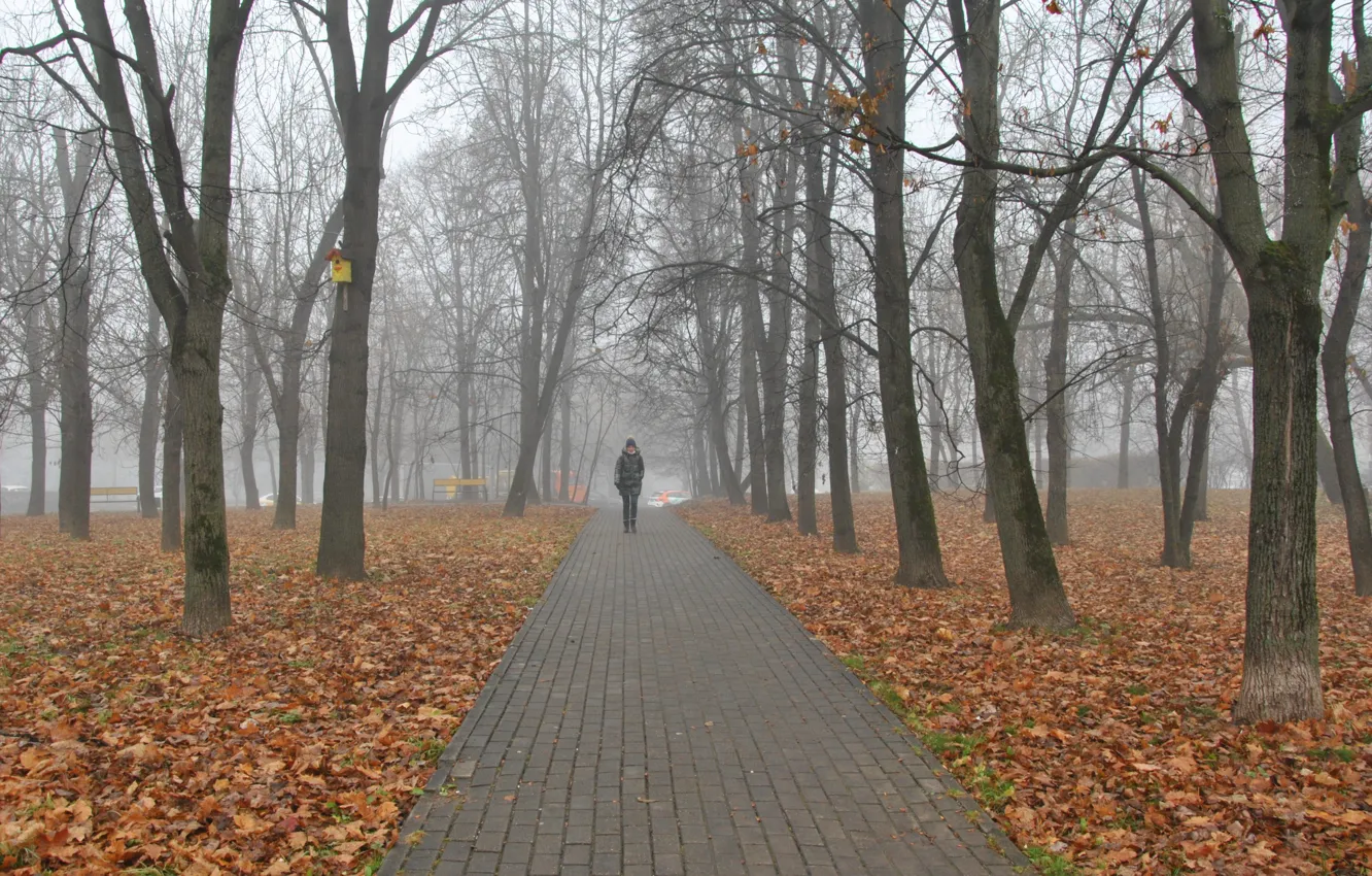 Photo wallpaper autumn, the city, fog, square