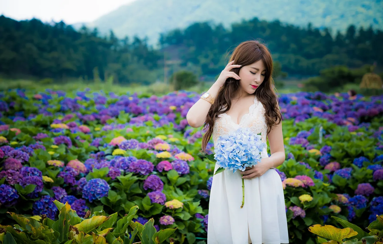 Photo wallpaper girl, flowers, Asian, bokeh, hydrangea