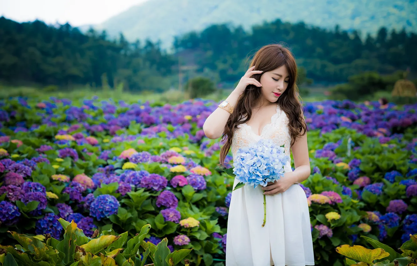 Photo wallpaper girl, flowers, Asian, bokeh, hydrangeas