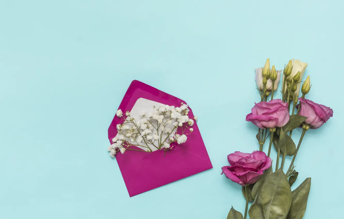 Photo wallpaper flowers, background, white, pink, flowers, the envelope, eustoma, eustoma