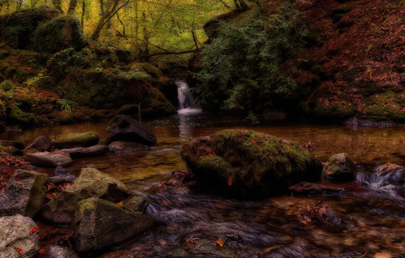 Photo wallpaper autumn, forest, leaves, the dark background, stones, shore, for, waterfall