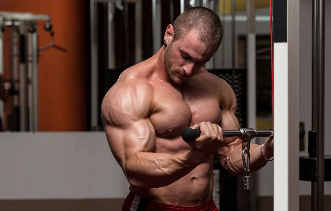 Photo wallpaper pose, sport, Muscle, hall, muscle, training, biceps, gym