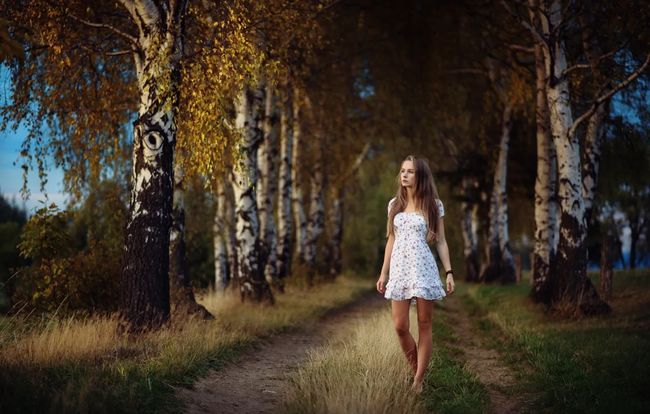 Photo wallpaper road, autumn, girl, birch