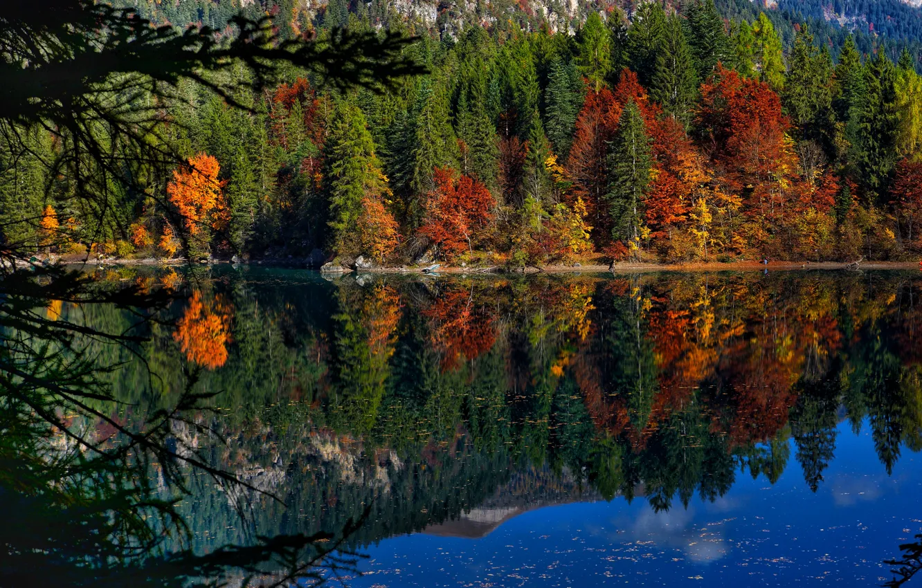 Photo wallpaper autumn, forest, trees, lake, reflection, Italy, Italy, Trentino