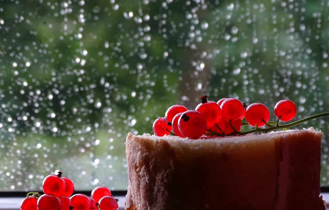 Photo wallpaper glass, drops, light, red, berries, rain, window, bread