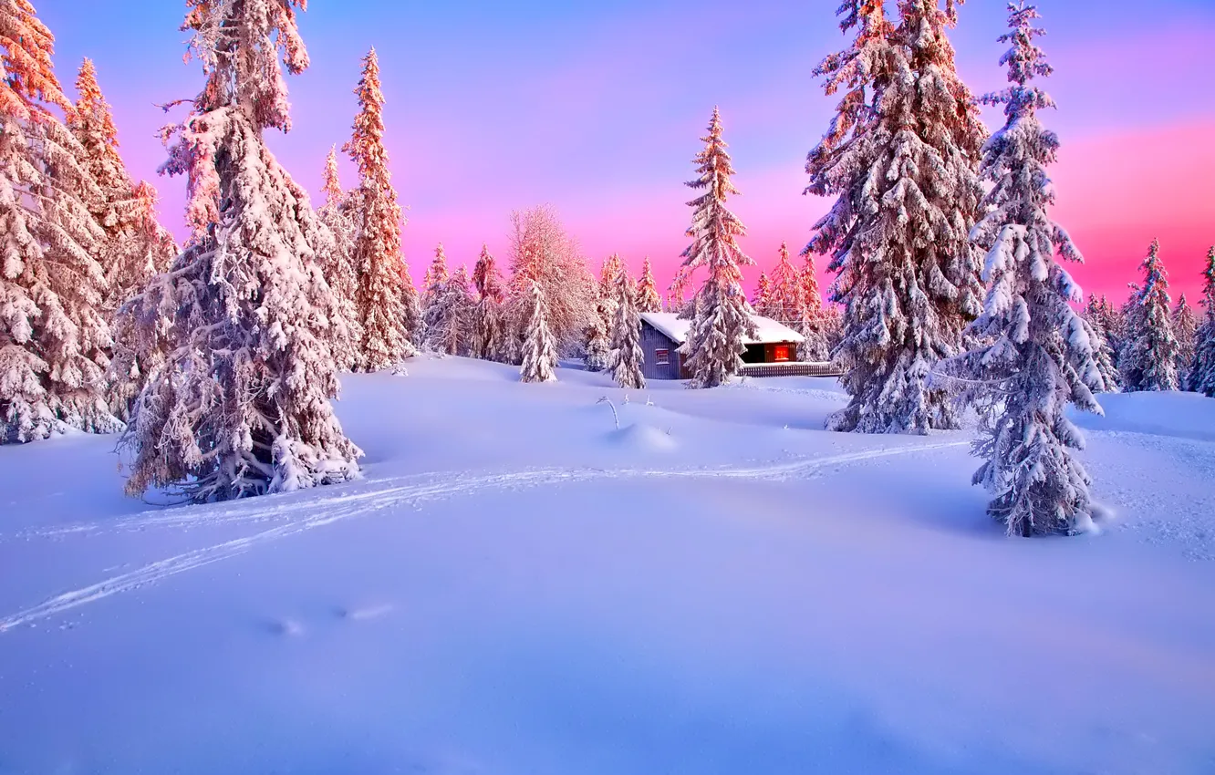 Photo wallpaper winter, forest, the sky, snow, sunset, house, spruce, glow