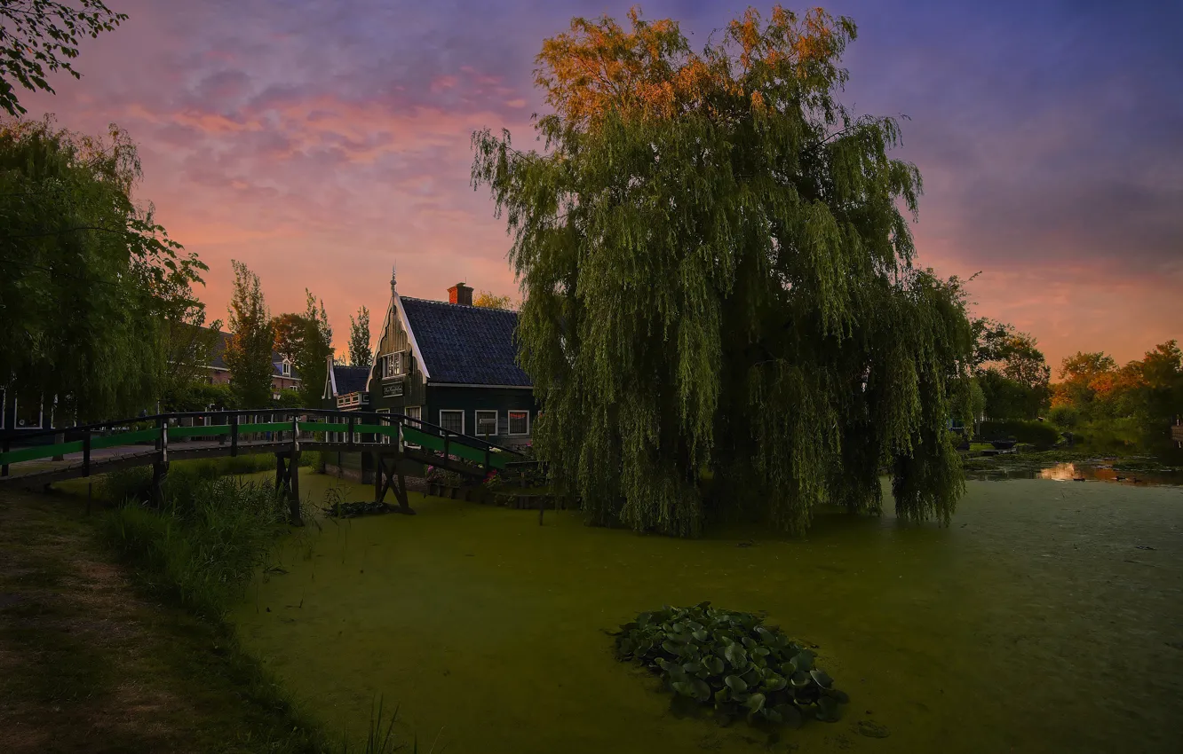 Photo wallpaper trees, landscape, sunset, nature, pond, village, home, Museum