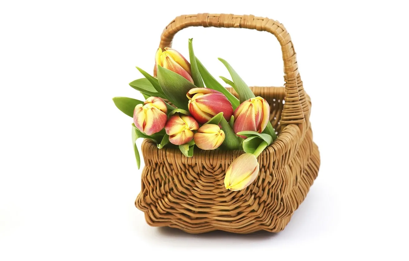 Photo wallpaper basket, tulips, buds