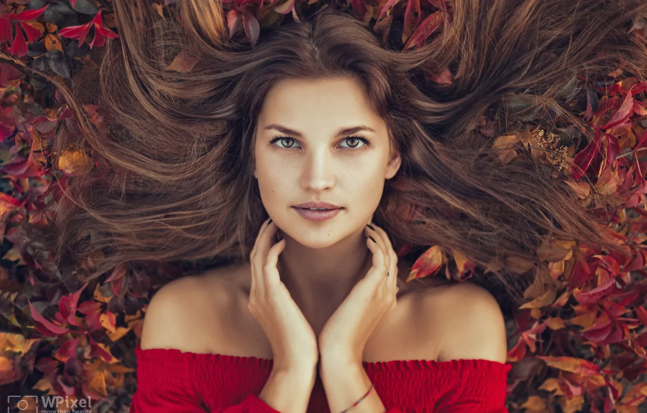 Photo wallpaper autumn, look, leaves, girl, face, hair, portrait, hands