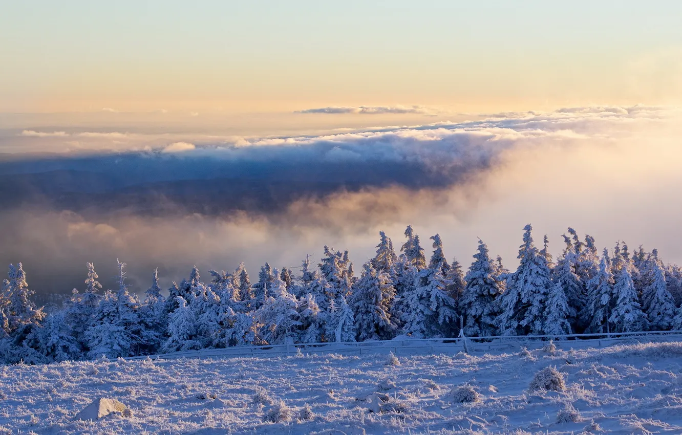 Photo wallpaper winter, Schnee, Brocken, Clouds, Resin, Morgen